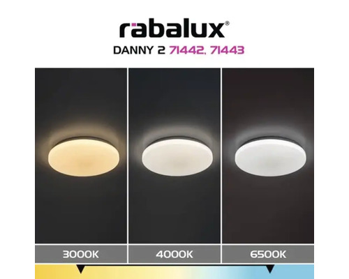 Plafonieră cu LED integrat Rabalux Danny 60W 4100 lumeni 3000K, albă