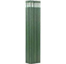 Araci verzi pentru plante din metal învelit în plastic cu suprafață striată și capete ascuțite pentru grădină.