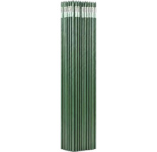 Set de tije verzi pentru susţinerea plantelor, fabricate din metal învelit în plastic.