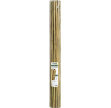 Set de 20 de tutori din bambus natural pentru plante, lungime 120 centimetri, diametru 12 până la 14 milimetri.