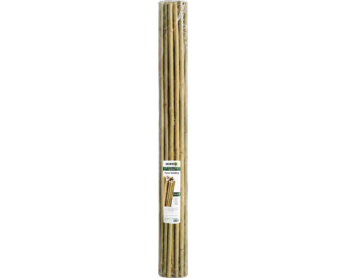 Set de 20 de tutori din bambus natural pentru plante, lungime 120 centimetri, diametru 12 până la 14 milimetri.
