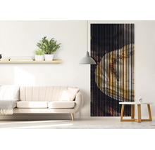 Living modern luminos cu un panou acustic mare din lamele de lemn verticale cu motiv imprimat lângă o canapea deschisă.
