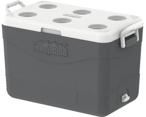 Ladă frigorifică Duramax Keep Cold Picnic 46 l gri | HORNBACH