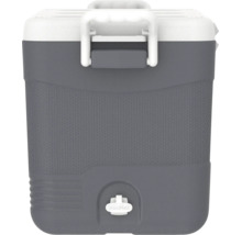 Ladă frigorifică gri din plastic cu capac alb, mâner de transport ergonomic și dop de scurgere pentru apa rezultată din topire.