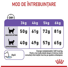 Tabel de hrănire: grame pe zi pentru pisici între 3 și 6 kilograme (greutate optimă sau supraponderală). Asigurați apă. Royal Canin Logo.