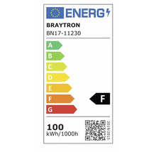 Etichetă energetică Uniunea Europeană Braytron BN17-11230, clasa F, 100 kilowați-oră la 1000 de ore.