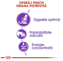 Caracteristicile produsului pentru hrana pisicilor: simboluri pentru digestie optimă, palatabilitate ridicată și energie concentrată. Royal Canin Logo.