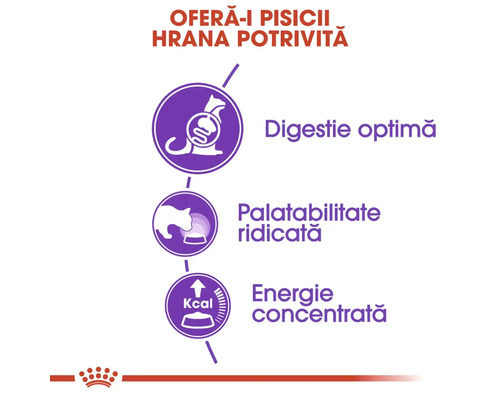 Caracteristicile produsului pentru hrana pisicilor: simboluri pentru digestie optimă, palatabilitate ridicată și energie concentrată. Royal Canin Logo.