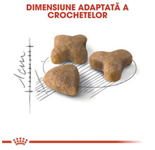 Dimensiune adaptată a crochetelor de aproximativ 1 centimetru. Royal Canin Logo.