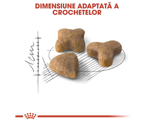 Dimensiune adaptată a crochetelor de aproximativ 1 centimetru. Royal Canin Logo.