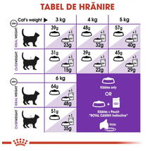 Tabel de hrănire pentru hrană de pisici Royal Canin cu rații zilnice în grame în funcție de greutatea în kilograme și condiția fizică.