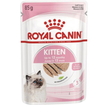 Royal Canin Kitten hrană umedă pentru pisoi de până la 12 luni, mousse în sos, plic de 85 grame