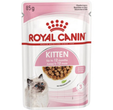 Royal Canin Logo, hrană umedă Royal Canin Kitten, bucățele în sos, 85 grame, pentru pui de pisică până la 12 luni, fără conservanți.