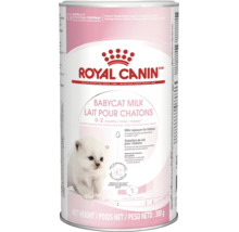 Lapte praf Royal Canin Babycat Milk pentru pisoi cu vârsta între 0 și 2 luni, cutie de 300 grame.