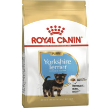 Hrană uscată Royal Canin Yorkshire Terrier Puppy pentru căței până la 10 luni pentru susținerea sistemului imunitar, a blănii și a digestiei.