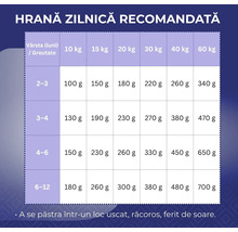 Tabel cu recomandări de hrănire zilnică pentru câini în funcție de vârsta în luni și greutatea în kilograme.