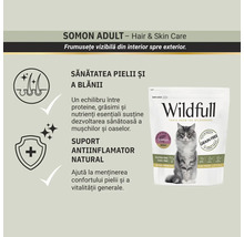 Hrană Wildfull 1.5 kilograme cu somon pentru pisici adulte, îngrijirea pielii și a blănii, suport antiinflamator, fără cereale.