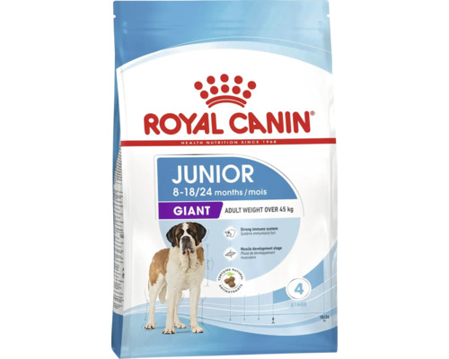 Hrană pentru câini Royal Canin Junior Giant pentru câini de talie gigant peste 45 kilograme cu vârsta între 8 și 18 sau 24 luni cu un bernardin.