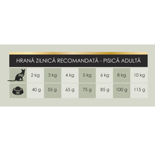 Tabel cu rația zilnică recomandată pentru pisici adulte, indicând greutatea în kilograme și cantitatea de hrană în grame.
