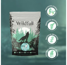 Hrană pentru câini Wildfull Ultra Premium Junior Miel 2 kilograme. Protecție stomac, articulații, imunitate și conținut ridicat de carne.
