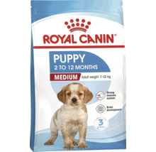 Royal Canin Puppy Medium hrană pentru căței de 2 până la 12 luni, pentru o greutate la vârsta adultă de 11 până la 25 kilograme.