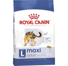 Royal Canin Maxi Adult hrană pentru câini de talie mare între 26 și 44 kilograme, peste 15 luni, susține sănătatea digestivă.
