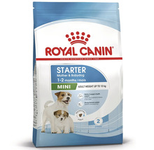 Hrană Royal Canin Starter Mother and Babydog Mini pentru cățele de talie mică și căței până în 10 kilograme.