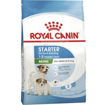 Hrană pentru câini Royal Canin Mini Starter Mother & Babydog pentru cățele de talie mică și căței până la 10 kilograme.