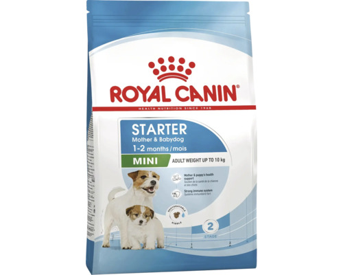 Hrană pentru câini Royal Canin Mini Starter Mother & Babydog pentru cățele de talie mică și căței până la 10 kilograme.