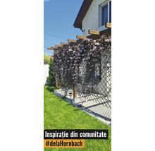 Pergolă din lemn cu spalier și plante cățărătoare înflorite pe o terasă lângă o casă și un gazon verde.