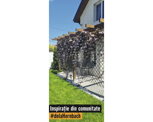 Pergolă din lemn cu spalier și plante cățărătoare înflorite pe o terasă lângă o casă și un gazon verde.
