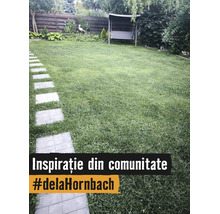 Grădină bine întreținută cu un gazon mare, o alee din dale pătrate, o balansoar de grădină și un gard din lemn.
