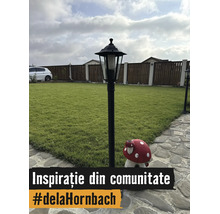Spațiu exterior cu un stâlp de iluminat, o figurină de grădină în formă de ciupercă, gazon, o alee din piatră și un gard din lemn.