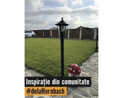 Spațiu exterior cu un stâlp de iluminat, o figurină de grădină în formă de ciupercă, gazon, o alee din piatră și un gard din lemn.