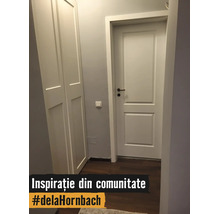 Hol luminos cu ușă de interior albă cu panouri, dulap încastrat asortat, pereți gri și pardoseală închisă cu aspect de lemn.