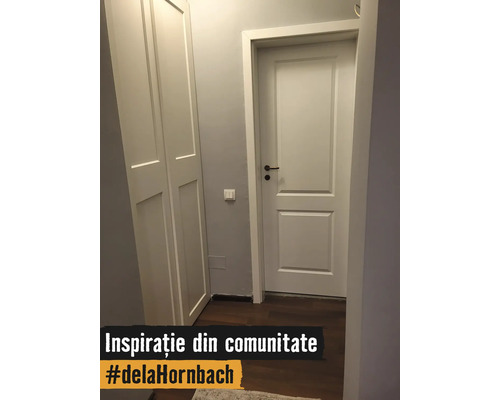 Hol luminos cu ușă de interior albă cu panouri, dulap încastrat asortat, pereți gri și pardoseală închisă cu aspect de lemn.