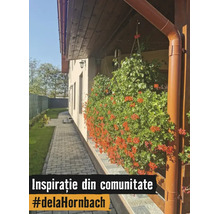 Fațadă luminoasă de casă cu mușcate roșii înflorite bogat în jardiniere pe balcon, lângă o alee pavată și o grădină.