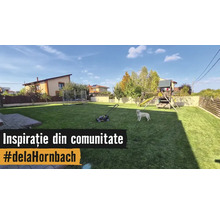 Grădină spațioasă cu gazon întreținut, mașină de tuns iarba, câine, căsuță pentru copii cu tobogan și trambulină în fundal.