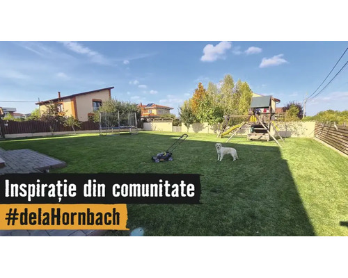 Grădină spațioasă cu gazon întreținut, mașină de tuns iarba, câine, căsuță pentru copii cu tobogan și trambulină în fundal.
