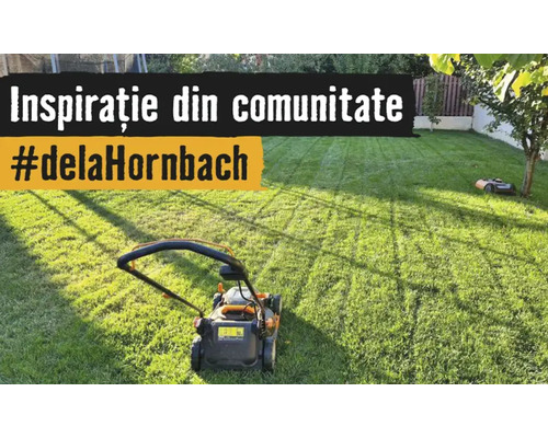 Gazon bine întreținut cu o mașină de tuns iarba și un robot de tuns gazonul. Text Inspirație din comunitate hashtag de la Hornbach.