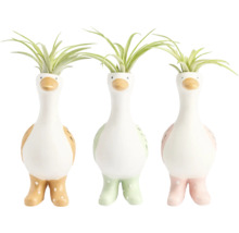 Trei ghivece decorative din ceramică în formă de rață cu cizme de cauciuc și plante Tillandsia.