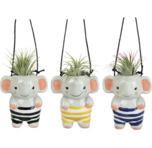 Trei ghivece suspendate din ceramică în formă de elefant cu plante Tillandsia, în dungi.