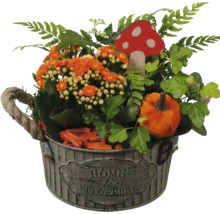 Aranjament de toamnă Kalanchoe în vas de zinc cu mâner din frânghie, iederă, ferigă, dovleac de pluș și ciupercă.