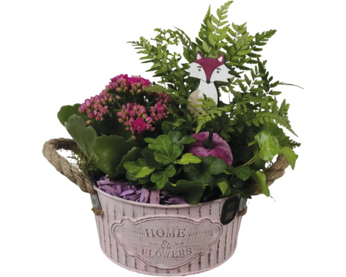 Aranjament de plante în găleată roz cu mânere din frânghie, conținând Kalanchoe, ferigă, iederă, vulpe din lemn și dovleac decorativ.