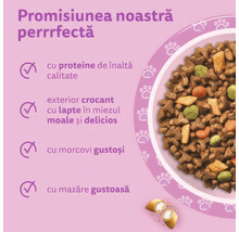 Hrană pentru pisici cu proteine de înaltă calitate, miez de lapte, morcovi și mazăre. Imagine cu bol cu bobițe și o granulă secționată.