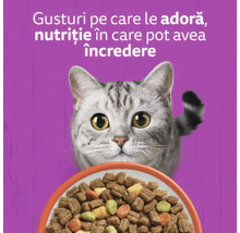 O pisică privește un bol cu hrană uscată pentru pisici. Text publicitar despre gusturi adorate și nutriție de încredere.