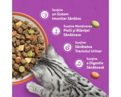 Hrană uscată pentru pisici cu beneficii pentru sistemul imunitar, piele și blană, tractul urinar și digestie.