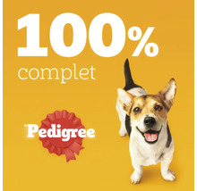 Logo Pedigree, text o sută la sută complet și un câine mic care privește în sus.