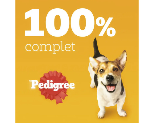 Logo Pedigree, text o sută la sută complet și un câine mic care privește în sus.