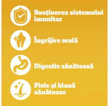 Simboluri pentru susținerea sistemului imunitar, îngrijire orală, digestie sănătoasă și piele și blană sănătoase.